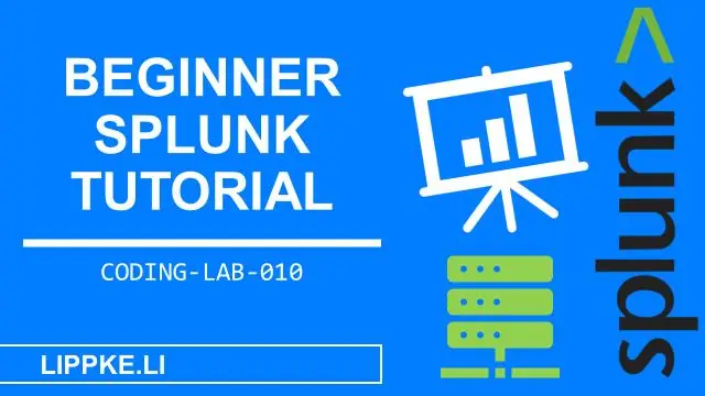 Может ли ваша собака предсказать землетрясение? Доказательства шатки, говорят исследователи