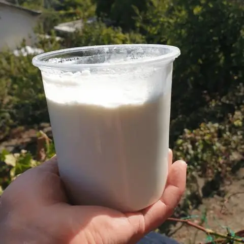 Медоносные пчелы изо всех сил пытаются получить достаточно хороших бактерий