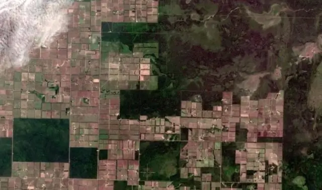 Хлебница тропиков? Исследование изучает производство тропического зерна