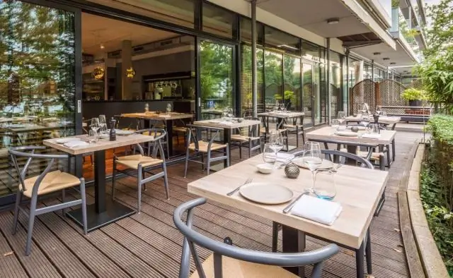 Вирус Зика представляет горячие точки в мозгу куриных эмбрионов