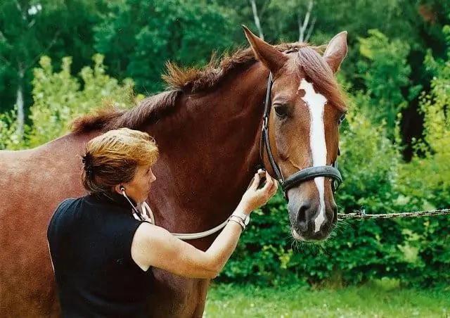 Небольшие изменения в тропических лесах наносят большой ущерб рыбным экосистемам