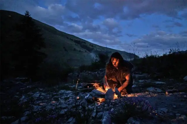 Вариант гена усиливает эмпатический страх у мышей