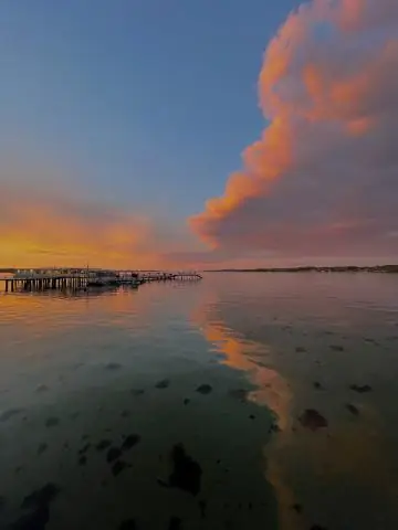 Деревья не так крепко спят, как вы думаете