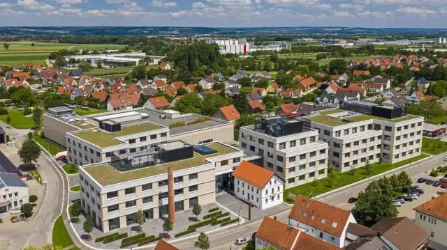 Новый скрининг ДНК показывает, чью кровь пьет летучая мышь-вампир: ДНК диеты