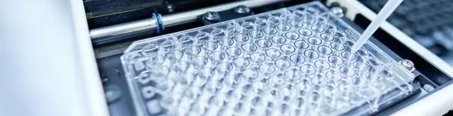 «Экологическая ДНК» используется для идентификации косаток в Пьюджет-Саунд