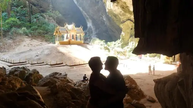 Свет в конце туннеля для дикой природы и диких уголков мира