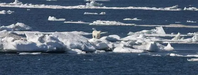 Обрушение переноса тепла через Атлантический океан может привести к жаркому европейскому лету