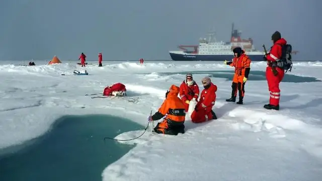 Рекордная концентрация микропластика в арктическом морском льду: состав и слоистость пластиковых частиц, обнаруженных в морском льду, указывают на регионы их происхождения