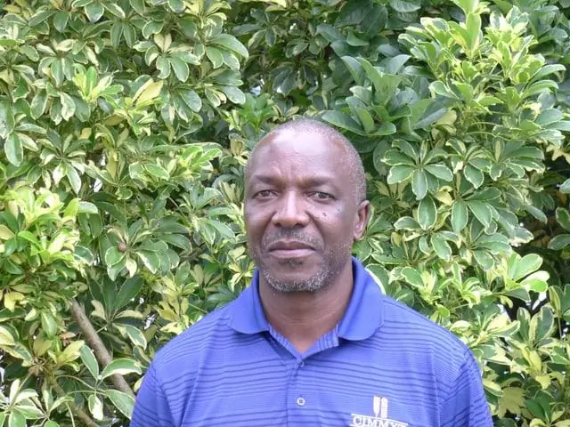 Кукуруза с мульчей из соломы повышает урожайность, углерод в почве: повышение урожайности, хранение углерода с вариантами мульчи