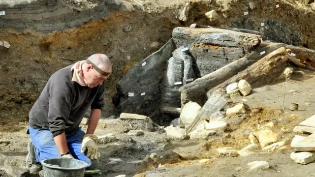 Археологи на древней лошади нашли в долине реки Нил