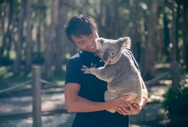 Защитите лесных слонов, чтобы сохранить экосистемы, а не ДНК