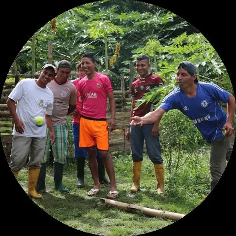 Наблюдение за домашним скотом может выявить лихорадку Рифт-Валли до того, как она будет передана человеку