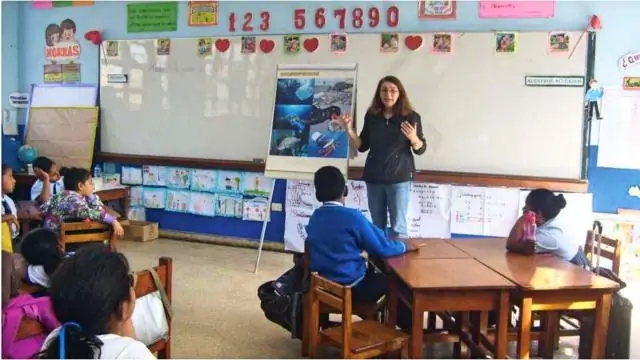 Влияние боеприпасов на море известно лишь частично: новое исследование указывает на глобальную проблему с взрывчатыми веществами в прибрежных экосистемах