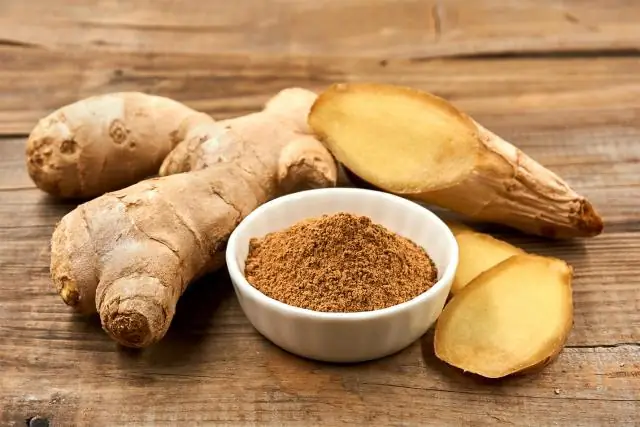 ИИ для расшифровки того, что животные делают весь день: алгоритм фильтрации спама учится распознавать полный набор поведения желеобразной Гидры