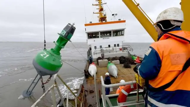 Комплексы фитопланктона в прибрежных водах остаются продуктивными, несмотря на изменчивые условия окружающей среды