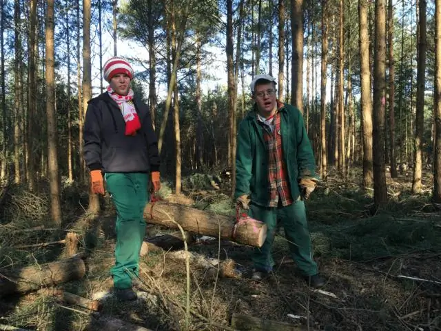 Зимующие камышевки предпочитают сельское хозяйство лесу
