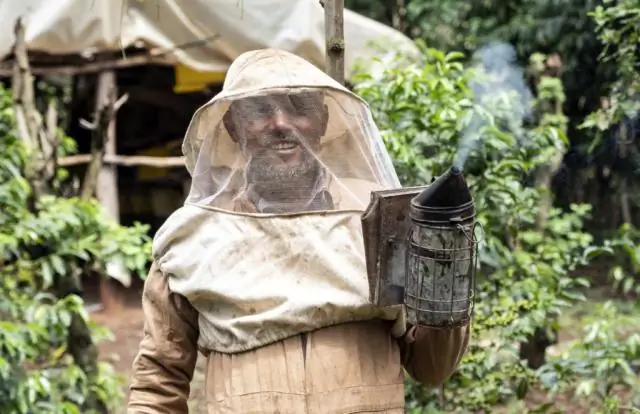 Внутренний контроль помогает кораллам сопротивляться закислению