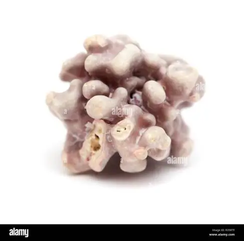 Вскрытие формирования ископаемых конкреций