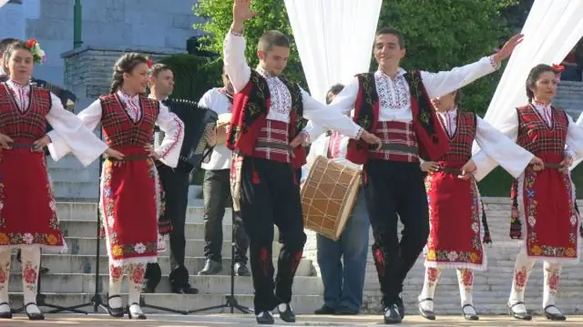 Ученые нашли первый птичий клюв прямо у них под носом