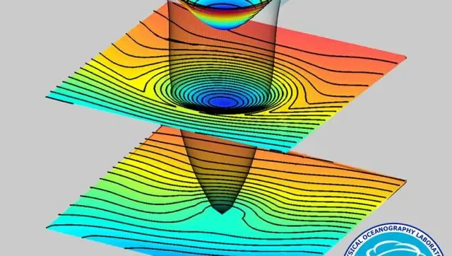 Сорняки заменят водоросли в океанах с высоким содержанием CO<sub>2</sub>