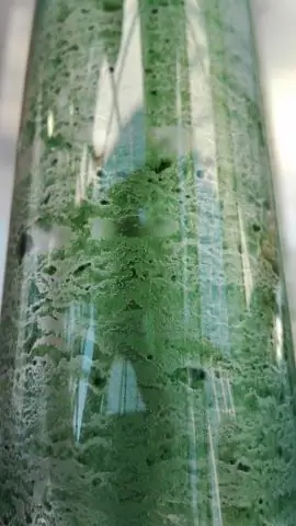 Новый подход к фотосинтетическому производству углеродно-нейтрального биотоплива из зеленых водорослей