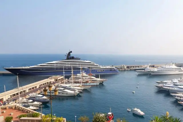 Омела потеряла «большую часть своей дыхательной способности»