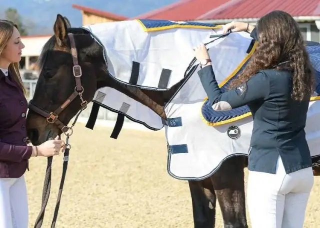 Гонки могут быть смертельными для лошадей