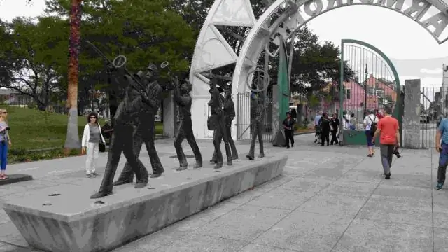 Аллигаторы на пляже? Косатки в реках? Привыкайте к этому: крупные хищники, которые когда-то почти полностью исчезли, появляются в неожиданных местах