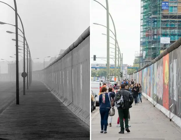 25 лет сбора окаменелостей дают самое четкое изображение вымершего 12-футового водного хищника