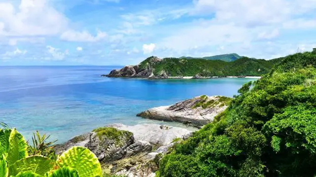 Секрет долгой жизни