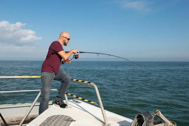 Рыбы в косяках могут успокоиться