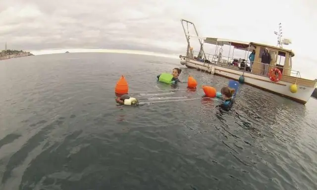Микробы из морских вулканических жерл показывают, как люди приспосабливаются к изменяющейся атмосфере