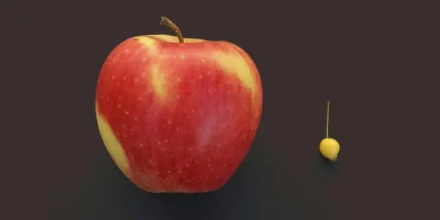 Множественные гены устойчивости обнаружены у кур, выращиваемых на коммерческих фермах, и в больницах