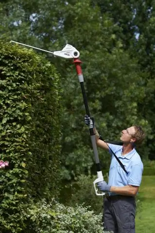 Что касается мозга гоминидов, размер не имеет значения: человекоподобные черты мозга Homo nalei удивляют группу исследователей, изучавших отпечатки мозга ископаемых
