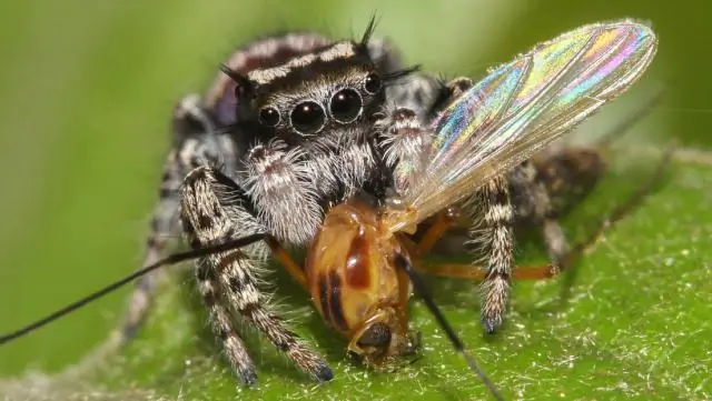 437 миллионов тонн рыбы, 560 миллиардов долларов потрачены впустую из-за разрушительных промысловых операций