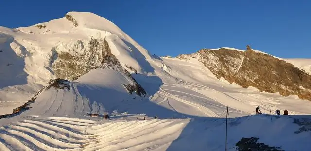 Влияние погоды и своевременных методов выращивания на борьбу с органическими сорняками