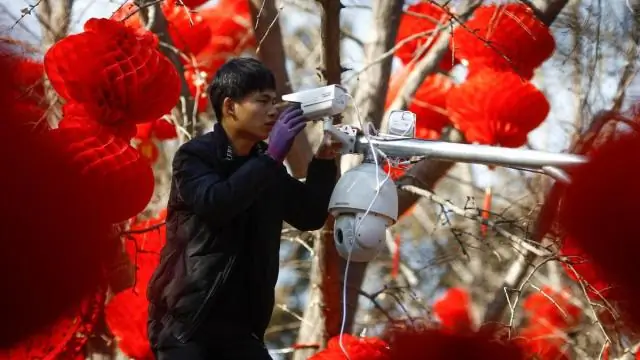 Китайская программа является «самым рискованным экологическим проектом в истории», предупреждает исследователь