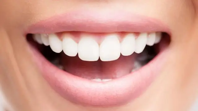 Тайна лимонно-зеленой крови ящерицы: ученые нашли подсказки, которые могут привести к излечению от малярии и других болезней