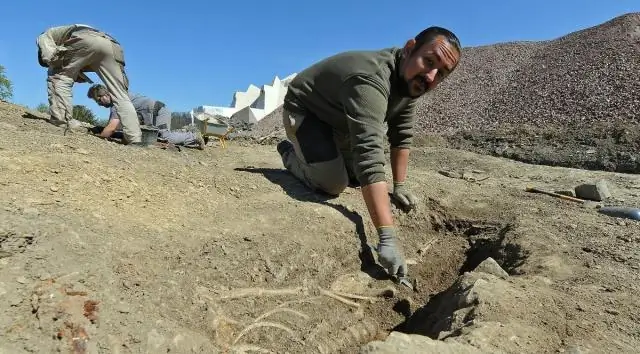 Древние человеческие останки и раскрытая тайна: Корнишский курган раскрывает секреты 4000-летней давности