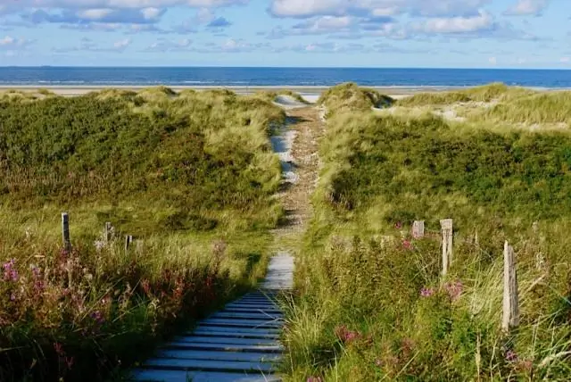 В Новой Зеландии есть своя популяция синих китов