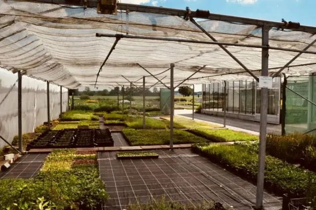 Пестициды: что произойдет, если у нас закончатся варианты?