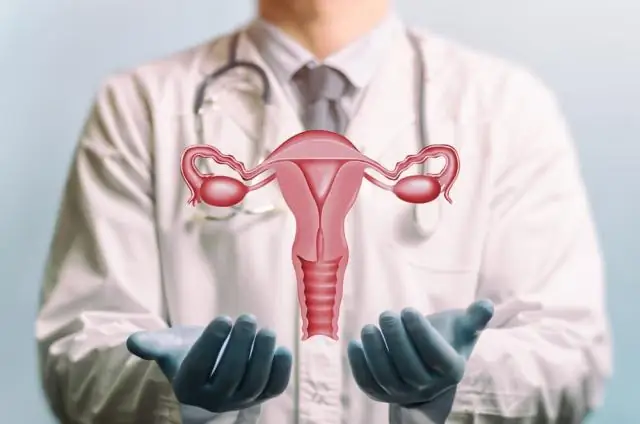 Ген насекомого позволяет репродуктивным органам справляться с вредоносными бактериями