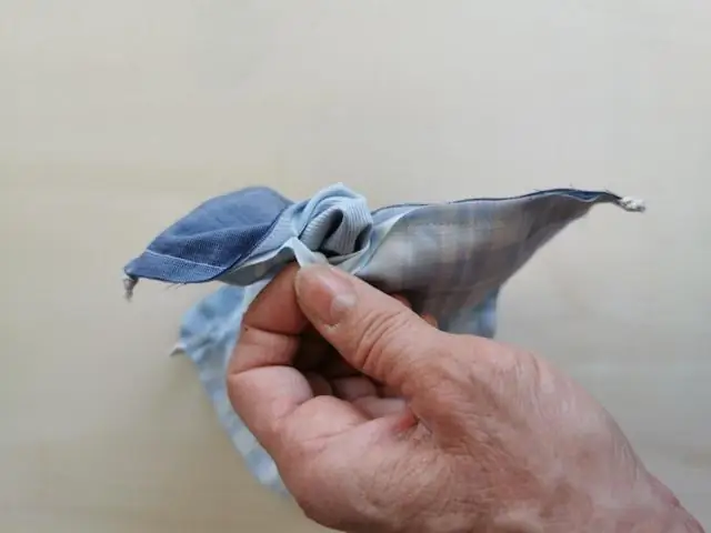 Е. coli, предназначенная для преобразования растений в возобновляемые химические вещества