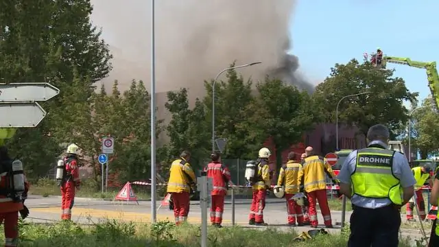 Повсеместная аноксия океана была причиной прошлого массового вымирания: новое исследование проливает свет на первое из пяти крупных массовых вымираний
