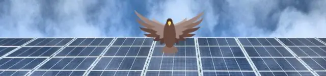 Недостающее звено между мясными мухами и возможной передачей патогенов: важные последствия как для общественного здравоохранения, так и для сохранения животных