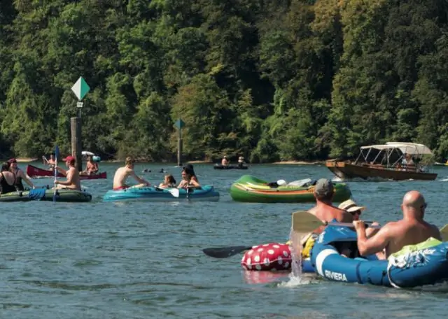 Инвазивные водоросли заставляют рыб менять свое поведение
