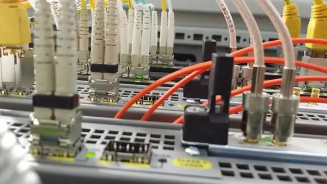 Исследование ставит под сомнение традиционный взгляд на полет птерозавров