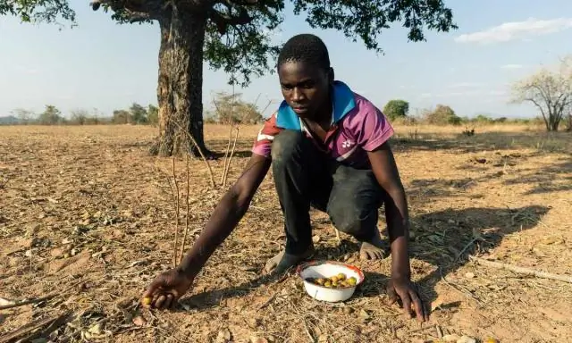 Реки могут выделять больше углекислого газа в более теплом климате
