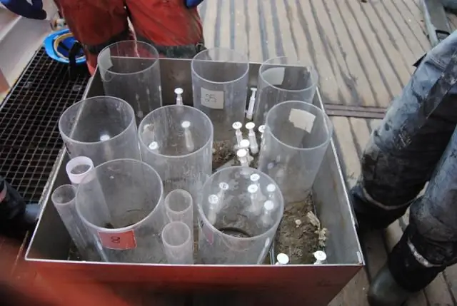 Холодное образование нового морского дна: первые сейсмические свидетельства эксгумации мантии в центре сверхмедленного спрединга