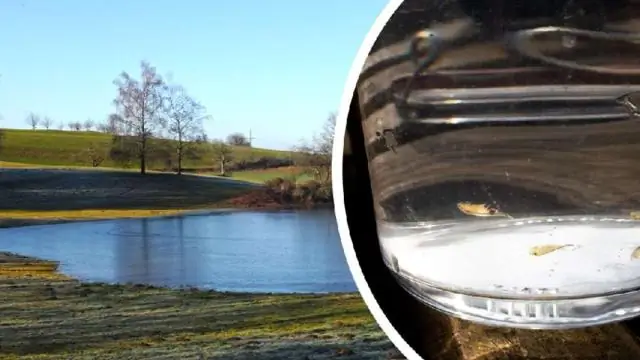 400-миллионная эволюционная гонка вооружений помогает исследователям понять ВИЧ